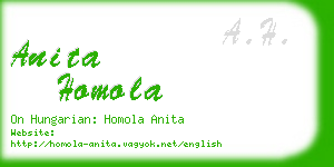 anita homola business card